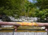 2-day Tour to Red Valley Forest Park
