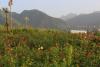 夕陽(yáng)下的生態(tài)湖