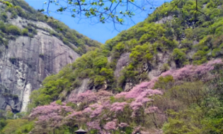 致來(lái)寶游客朋友們的一封信