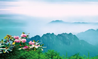 5月19日中國(guó)旅游日,太白山樂(lè)享優(yōu)惠