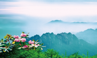 5.19中國(guó)旅游日半價(jià)暢游太白山、紅河谷