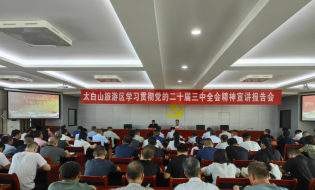 張新林宣講黨的二十屆三中全會精神